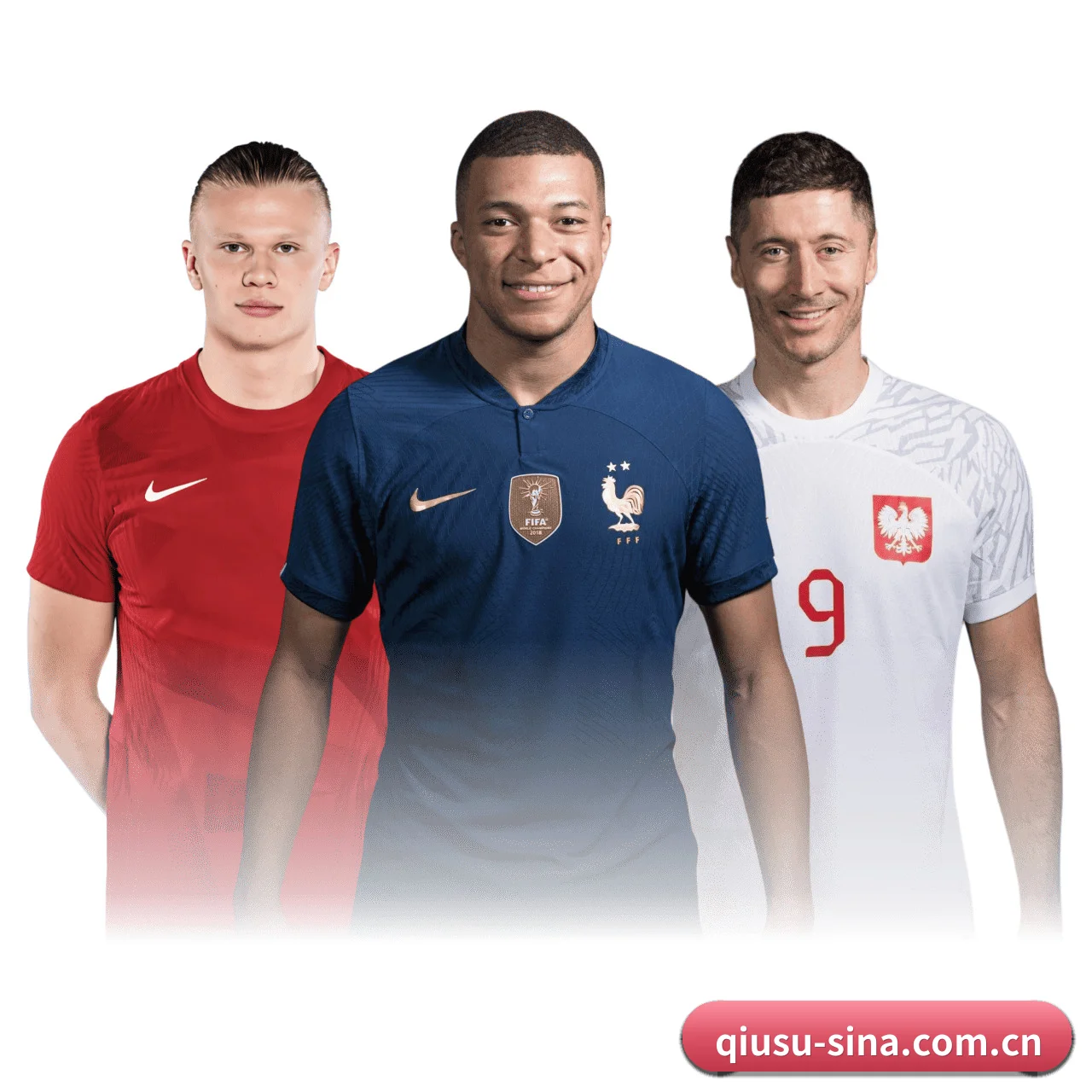 五维频道网格化布局 · 环球体坛电讯按项归仓